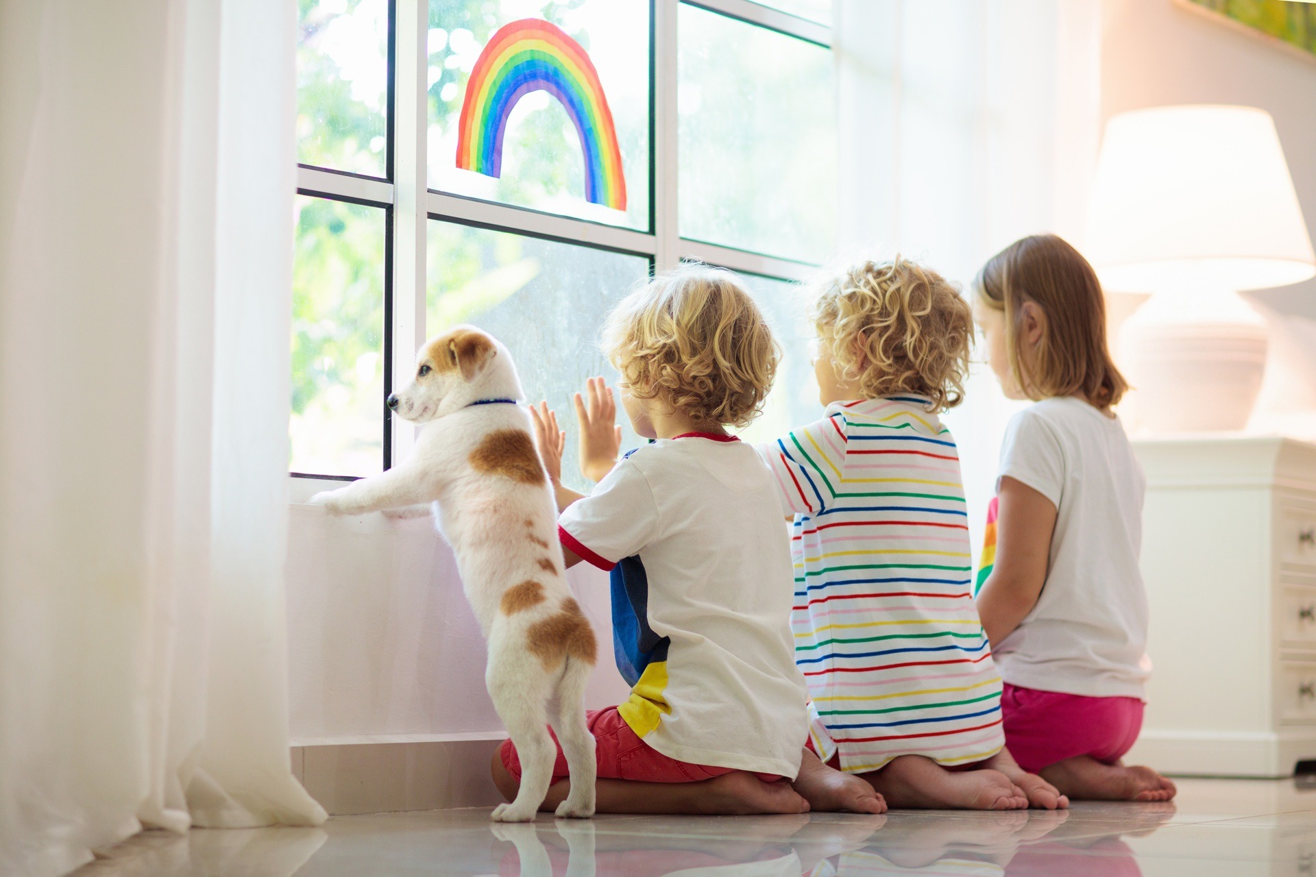 Kinder mit Hund am Fenster, Hundefutter für nierenkranke Hunde
