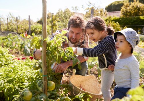 Gemeinsam Zeit im Garten verbringen: Ideen für Familienaktivitäten