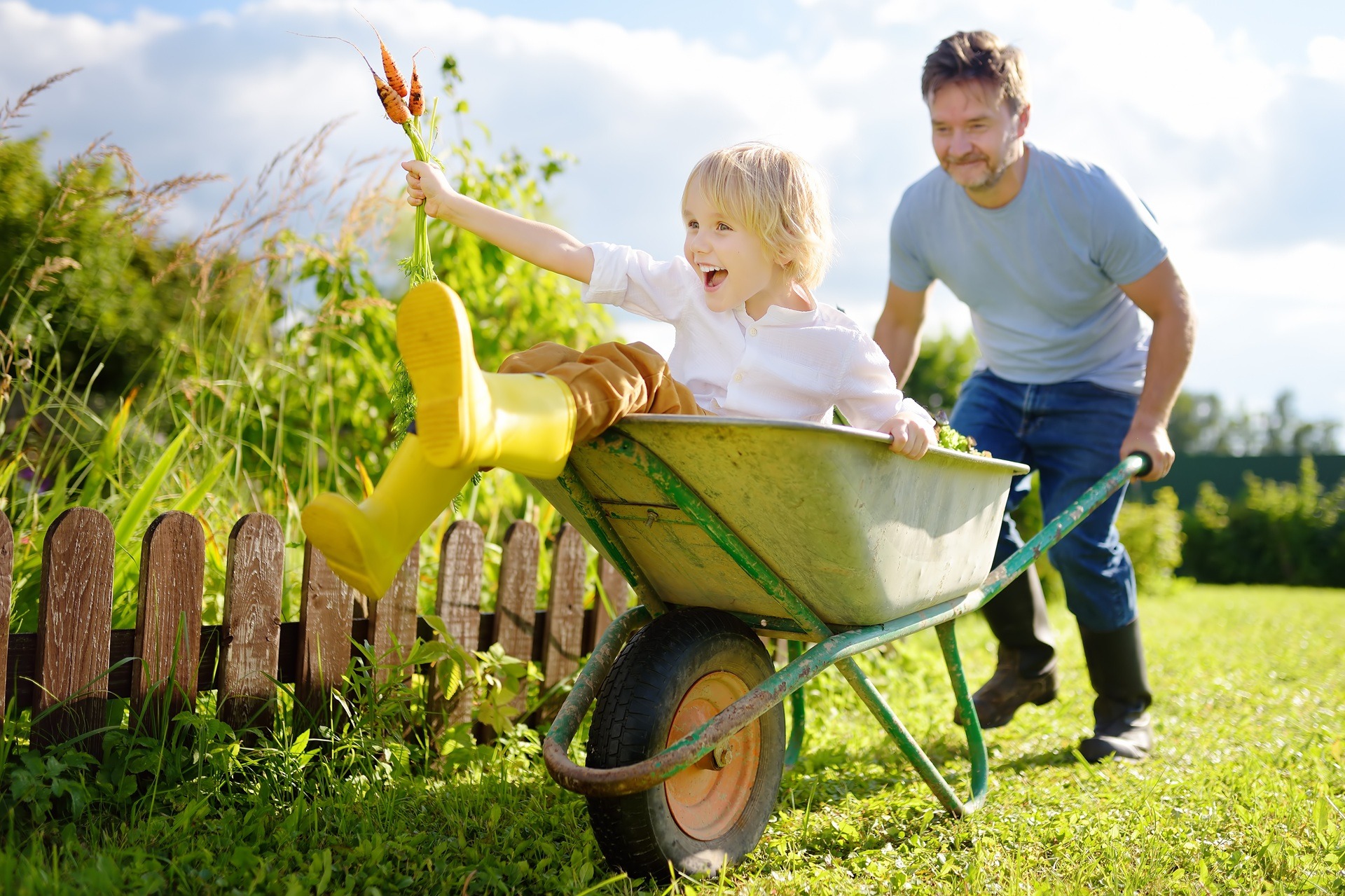 Vater schiebt fröhliches Kind mit Karotten im Garten | Cortenstahl Hochbeet