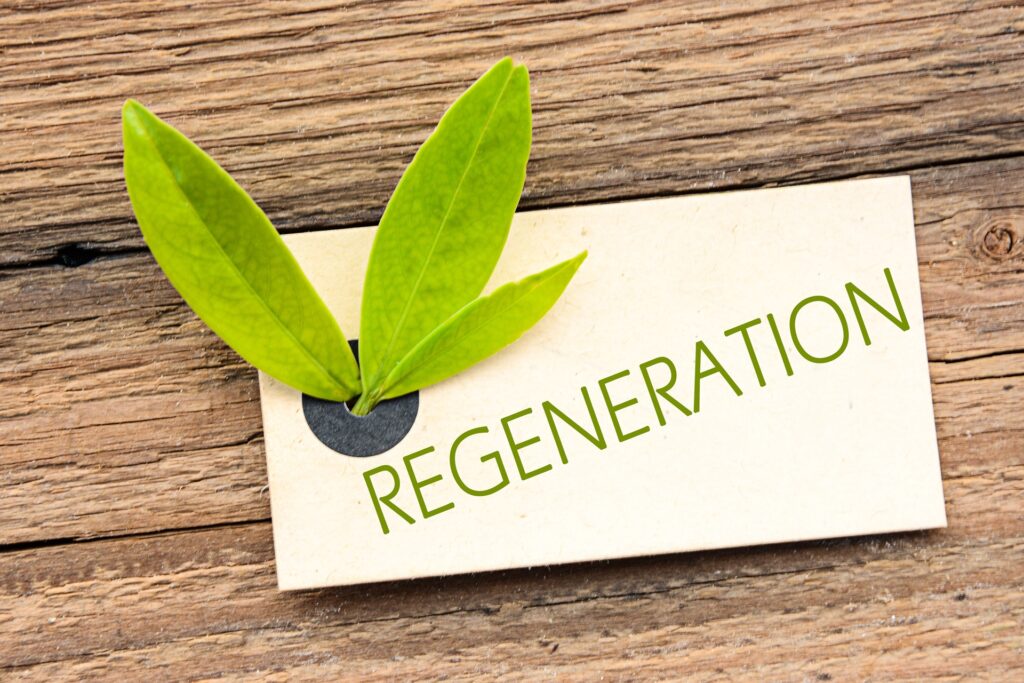 Karte mit Schriftzug Regeneration und grüne Blätter auf Holzhintergrund | Dr. Spiller