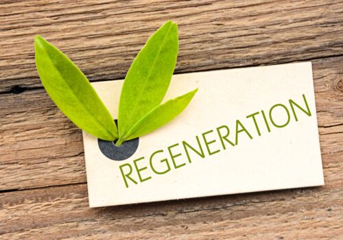 Regeneration für Körper und Geist
